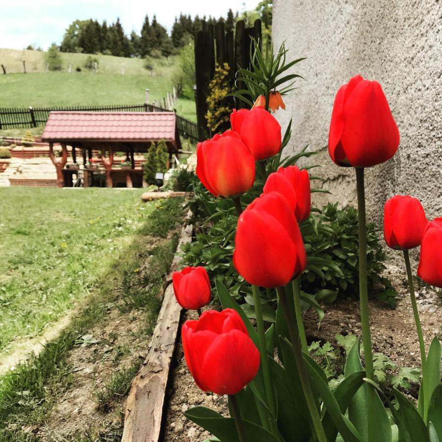 Apartman Jedlicka Telgart Luaran gambar